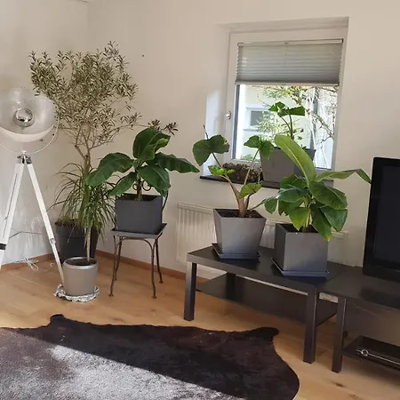 Boutique Alpin Mit Gartensauna Lägenhet Annaberg im Lammertal