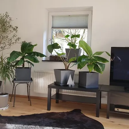 Boutique Alpin Mit Gartensauna Annaberg im Lammertal